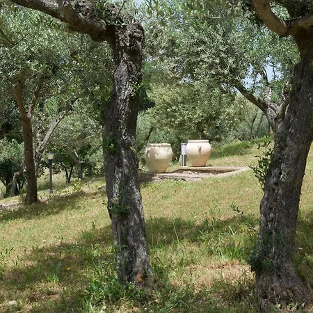 Casa Vacanze Assisi Il Borghettaccio Extérieur photo