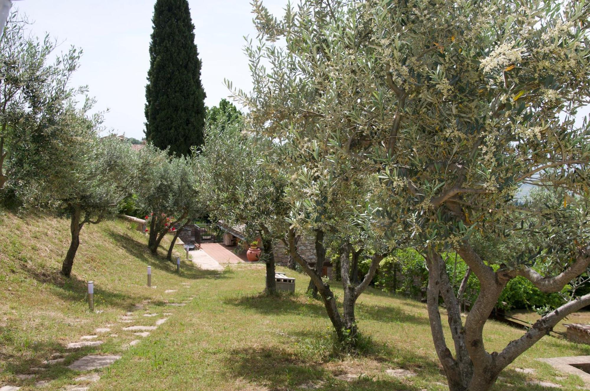 Il Borghettaccio Holiday home *