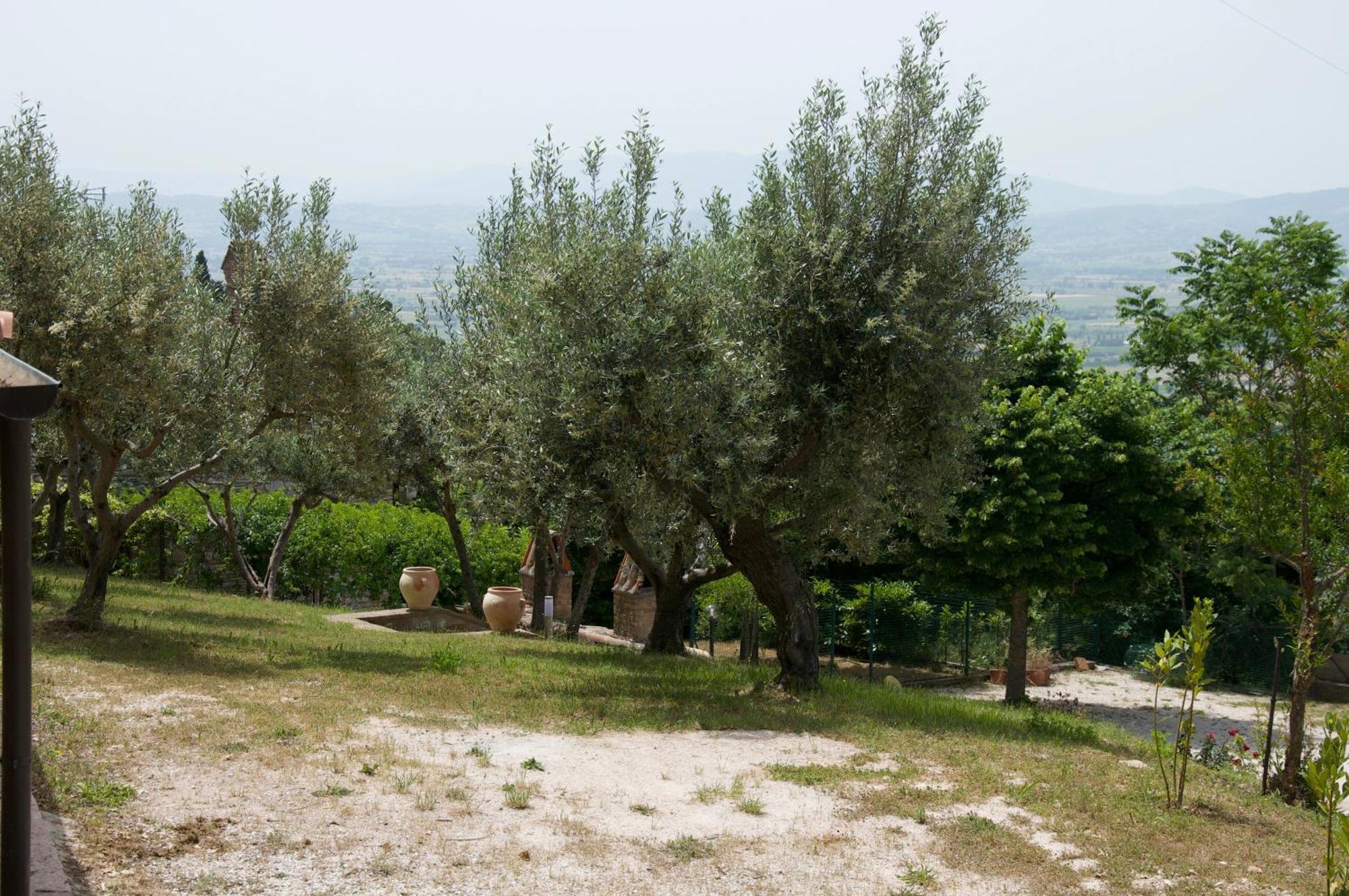 Hébergement de vacances Il Borghettaccio
