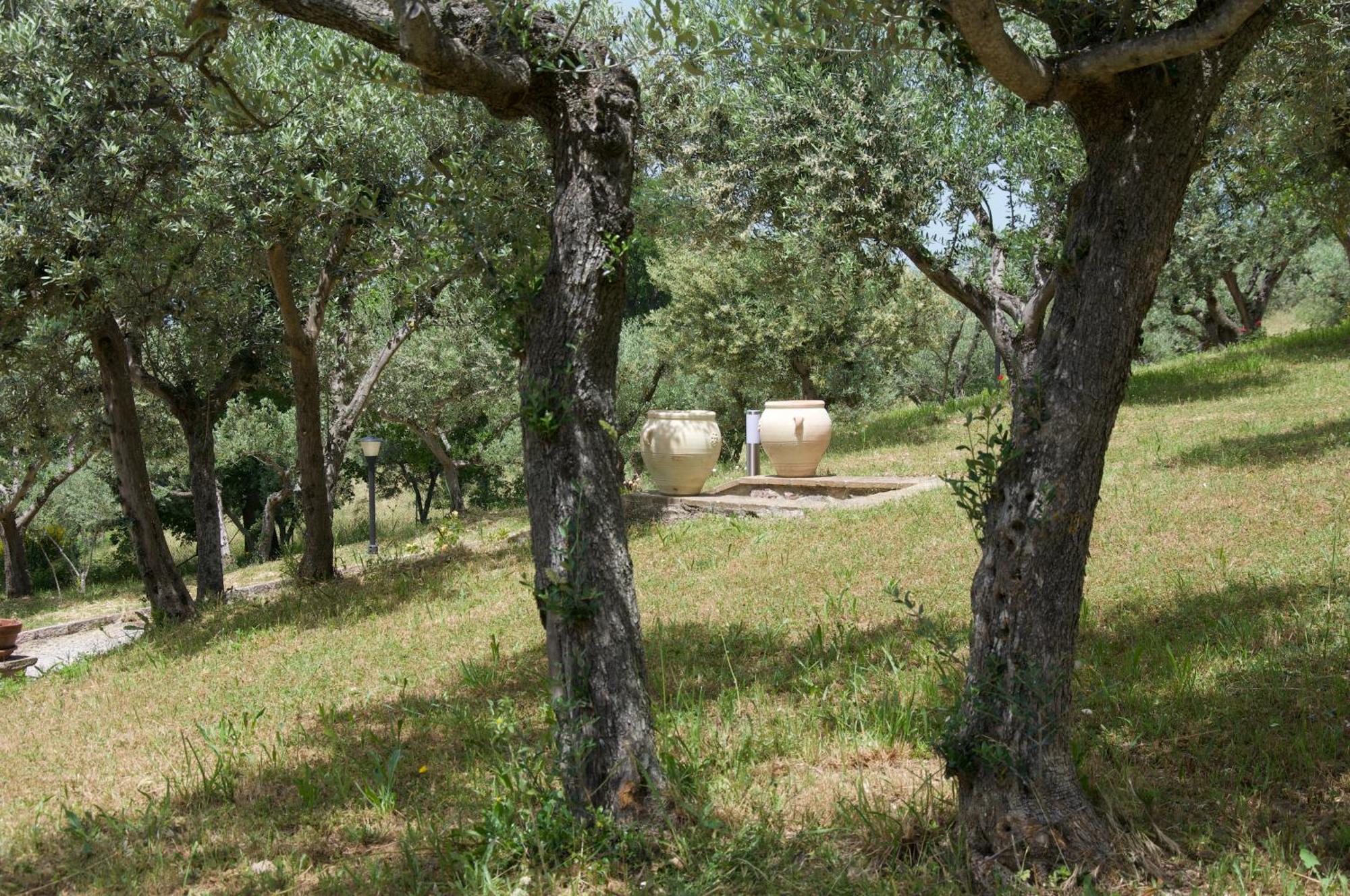 Holiday home Il Borghettaccio *